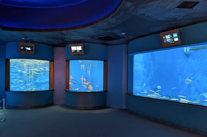 うみの杜水族館　大漁 宝のうみ
