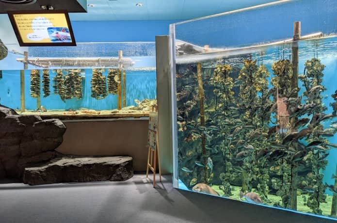 うみの杜水族館　内湾 恵みのうみ