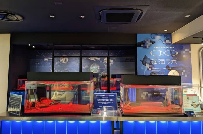 うみの杜水族館　深海ラボ