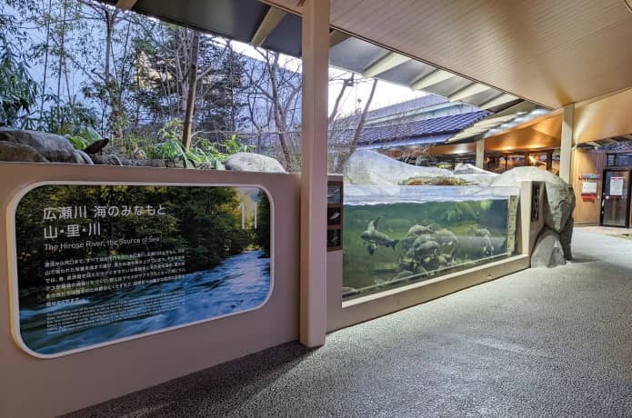 うみの杜水族館　広瀬川 東北の山・里・川