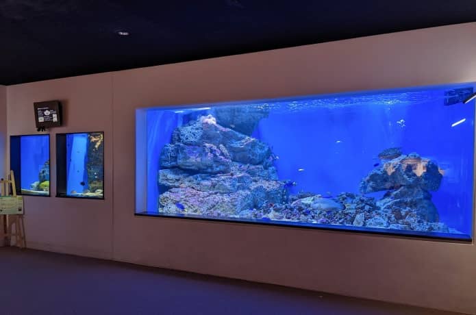 うみの杜水族館　オセアニア