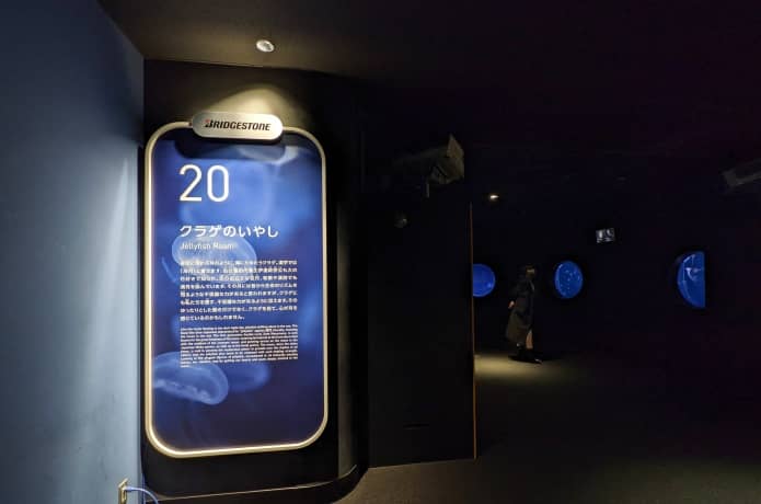 うみの杜水族館　クラゲのいやし
