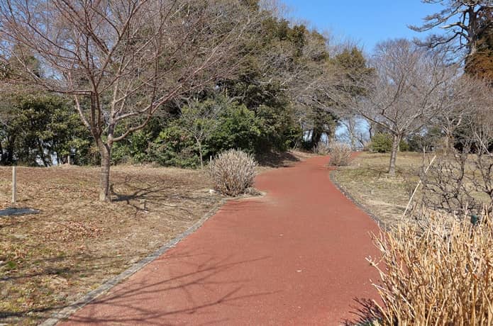 多聞山　遊歩道