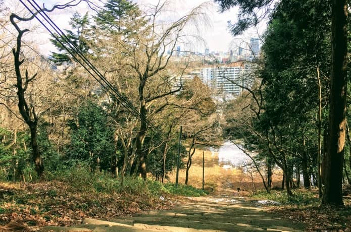 亀岡八幡宮　頂上からの景色