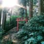 蠣崎稲荷大明神　鳥居