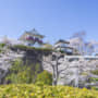 涌谷城