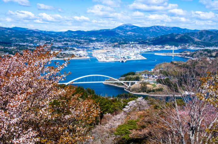 気仙沼大島　桜
