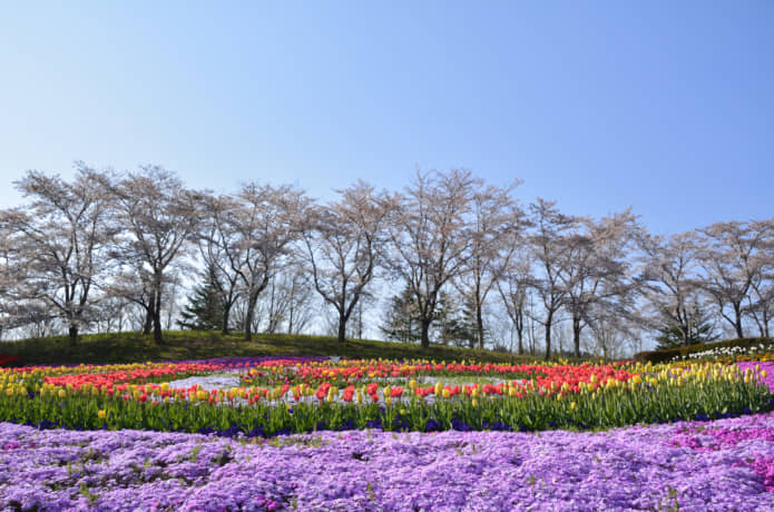 みちのく公園