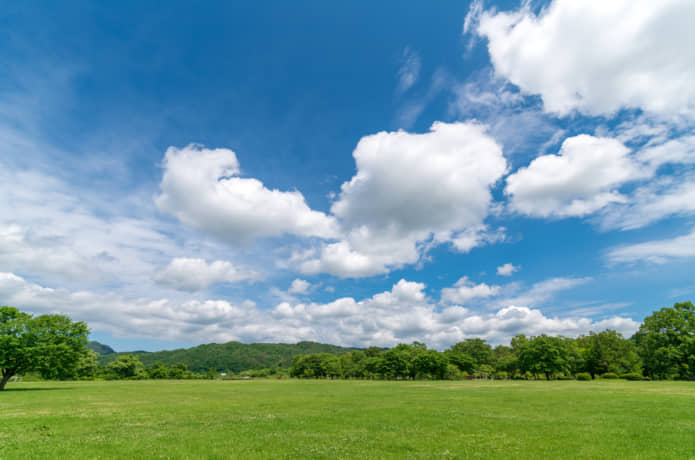 みちのく公園