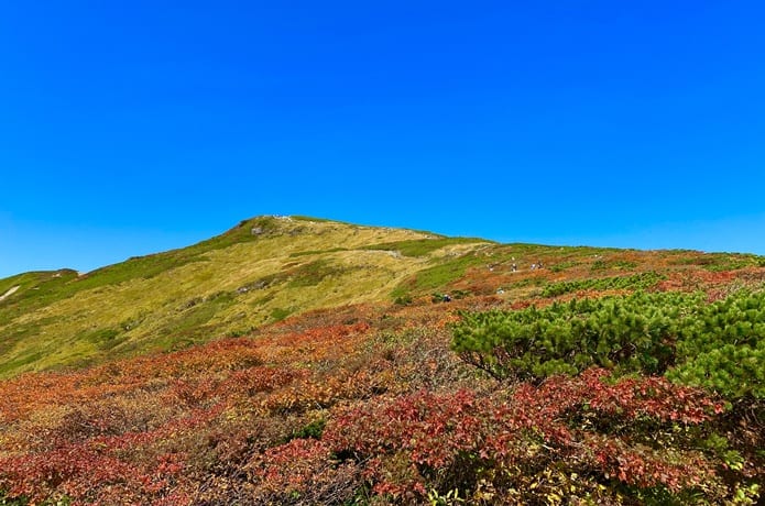 中央コースからのぞむ栗駒山