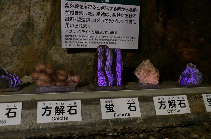 細倉鉱山　ブラックライトで照らされた鉱石