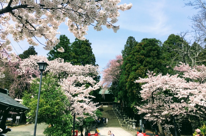 仙台東照宮
