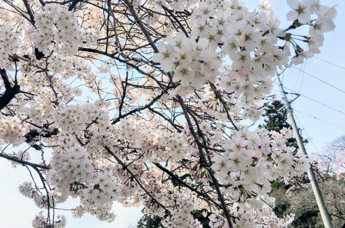 仙台東照宮