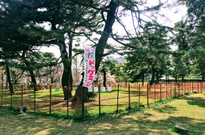 榴岡公園