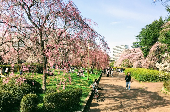 榴岡公園