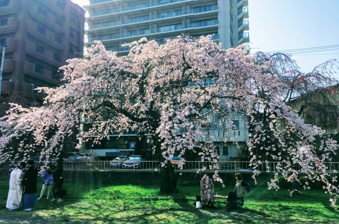 榴岡公園
