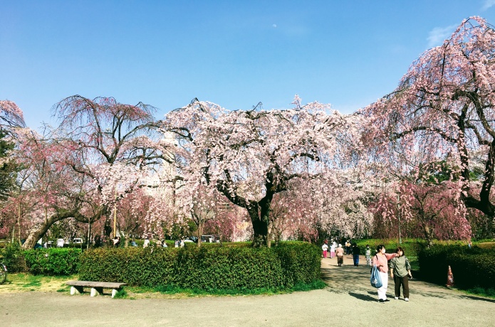 榴岡公園