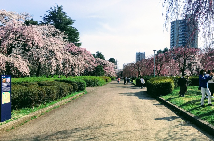 榴岡公園