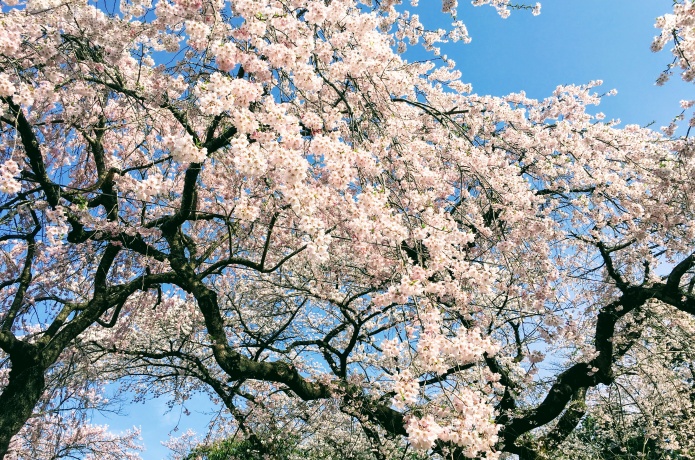 榴岡公園