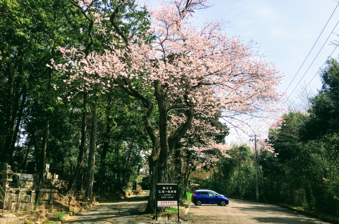 輪王寺