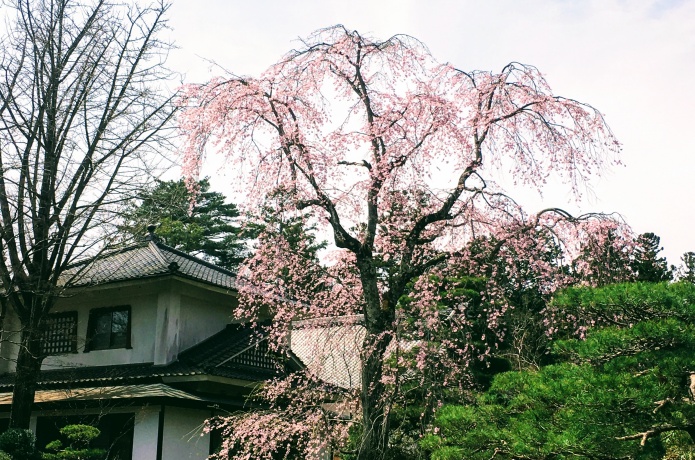 輪王寺