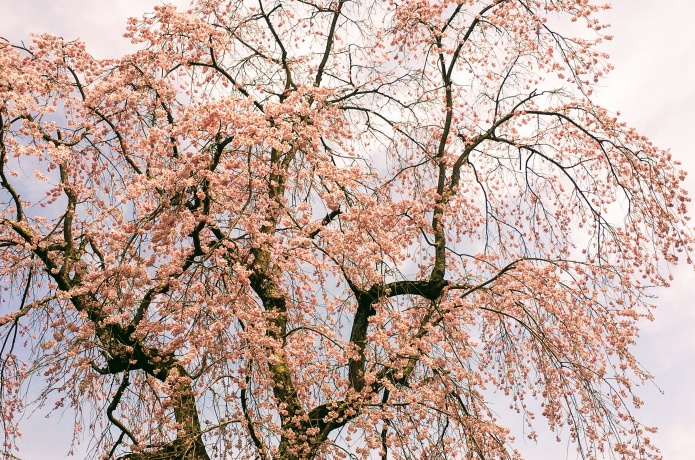 輪王寺