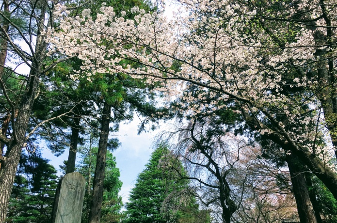 輪王寺