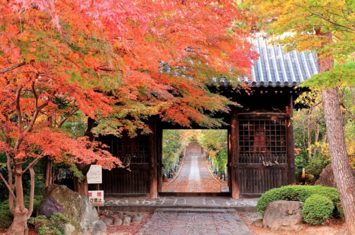 輪王寺　秋