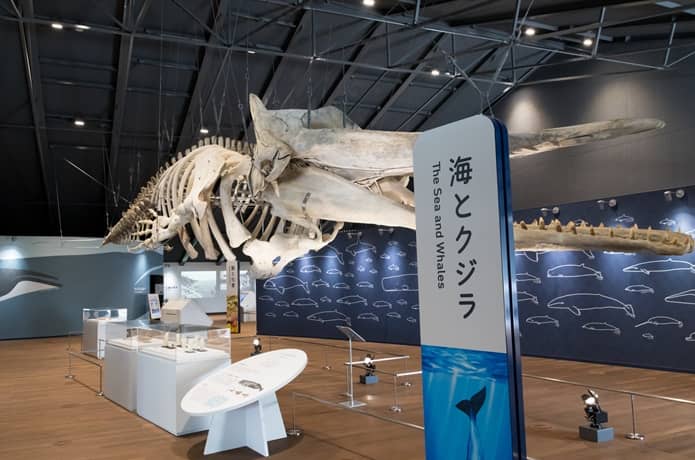 ホエールタウンおしか