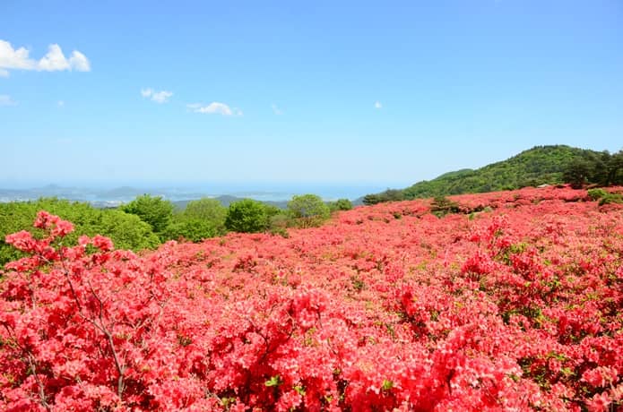 徳仙丈山