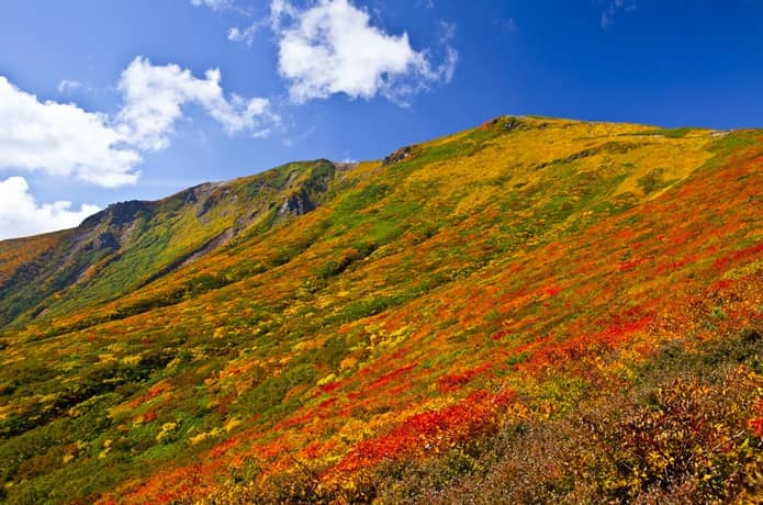 栗駒山