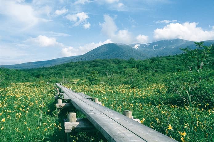 世界谷地原生花園