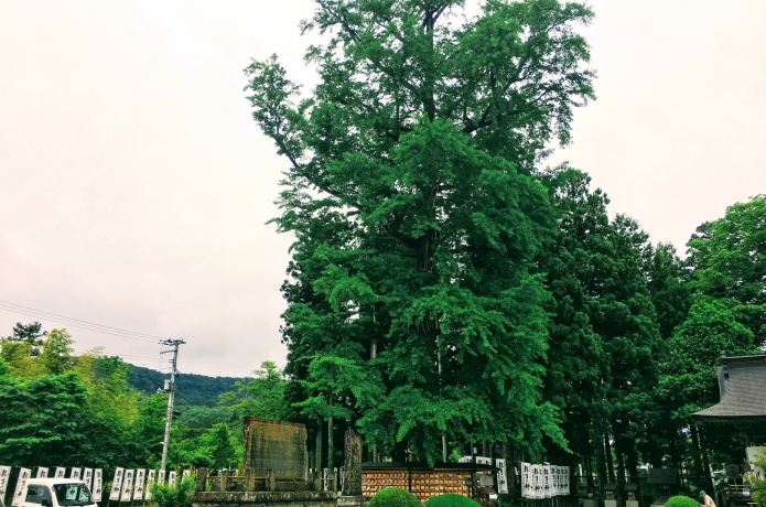 秋保神社