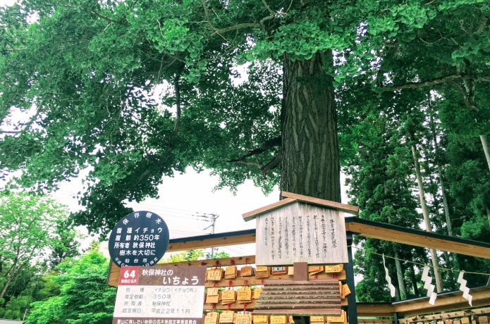 秋保神社