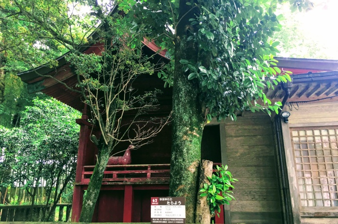秋保神社