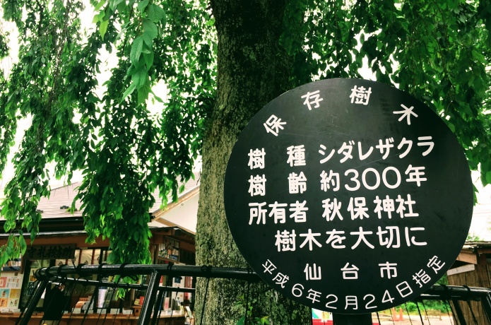 秋保神社