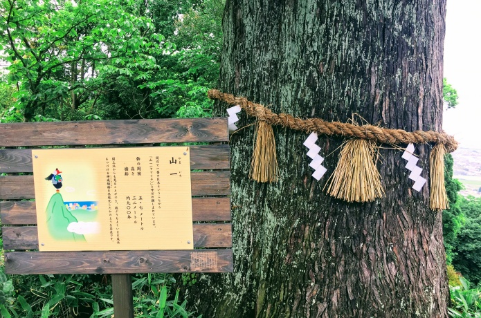熊野那智神社