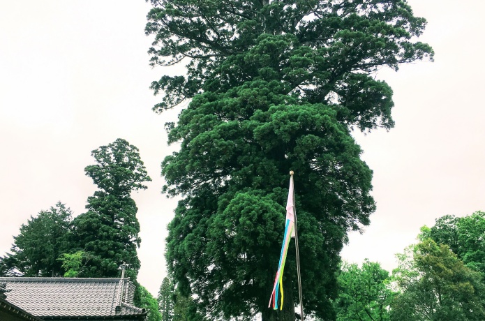 熊野那智神社