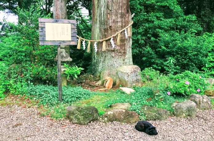 熊野那智神社
