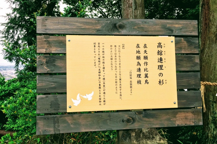 熊野那智神社