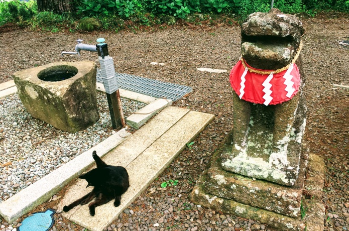 熊野那智神社