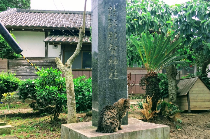 熊野那智神社