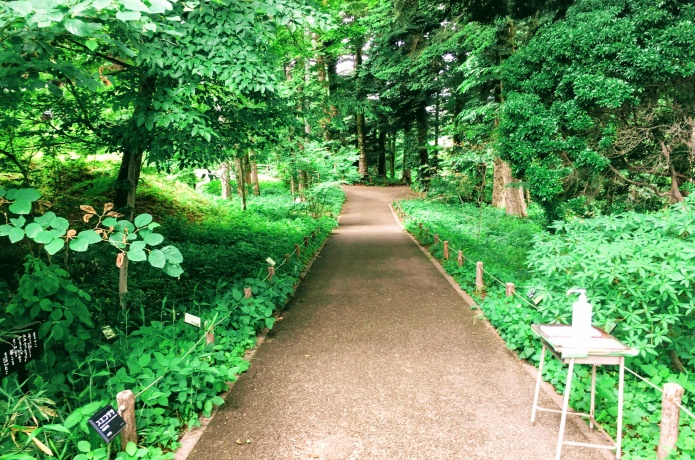 仙台市野草園