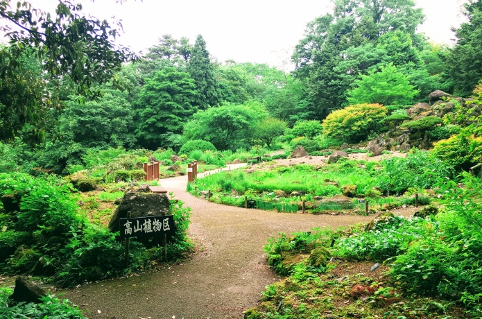 仙台市野草園
