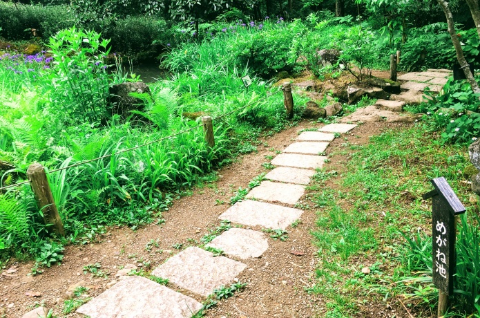 仙台市野草園
