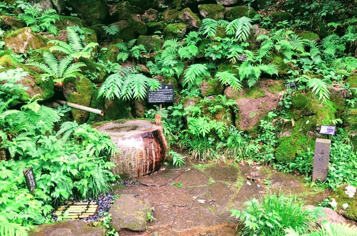 仙台市野草園