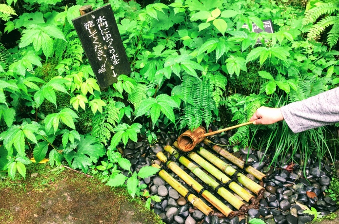 仙台市野草園