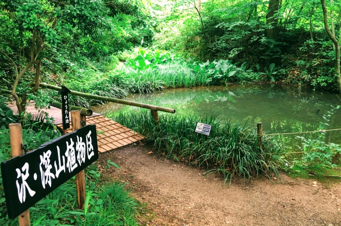 仙台市野草園