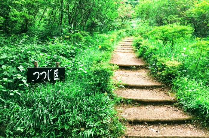 仙台市野草園