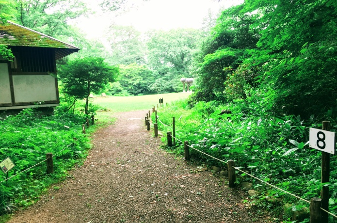 仙台市野草園
